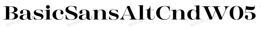 BasicSansAltCndW05 X字体转换